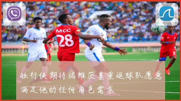 独行侠期待诺维茨基重返球队愿意满足他的任何角色需求